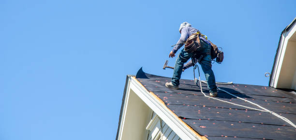 Best Roof Gutter Cleaning  in Stewart Manor, NY